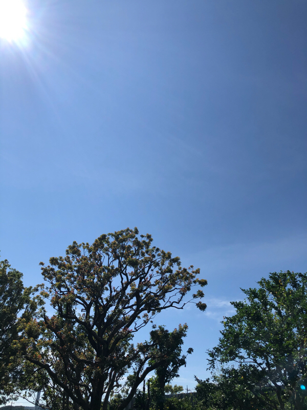 ラジオトーク始めました！