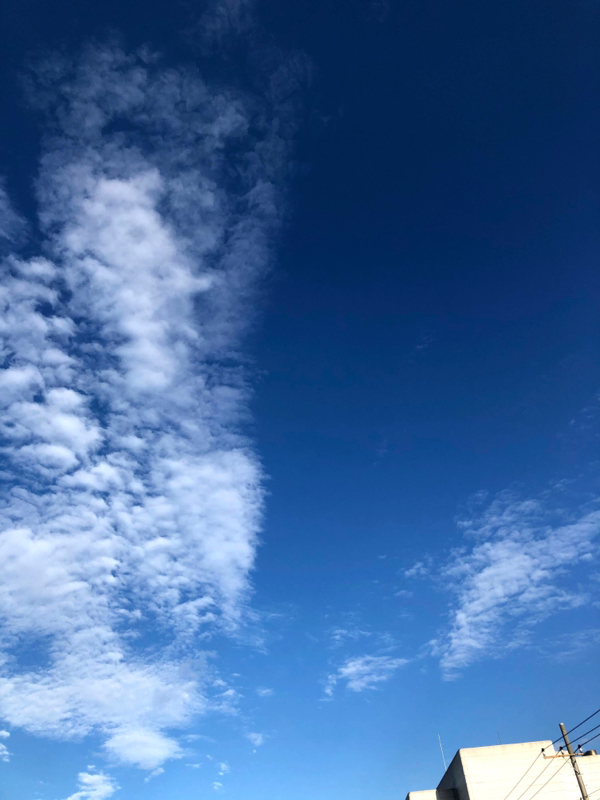 息子の発達障害が判明するまで①