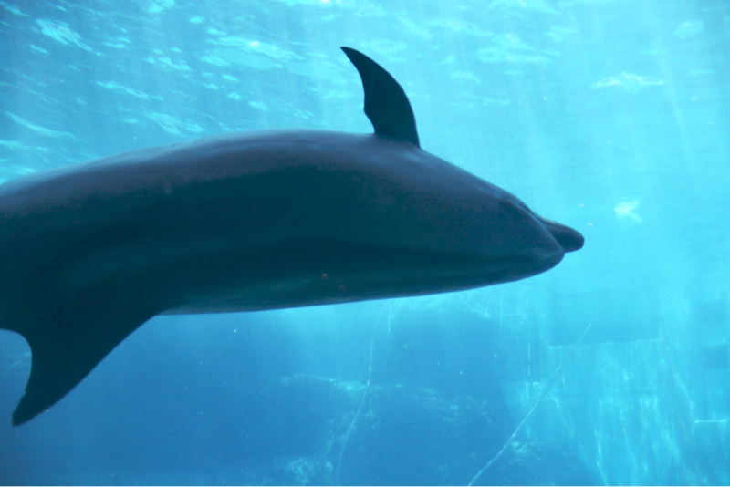 #1 △のいちごあめ〜はじめまして〜