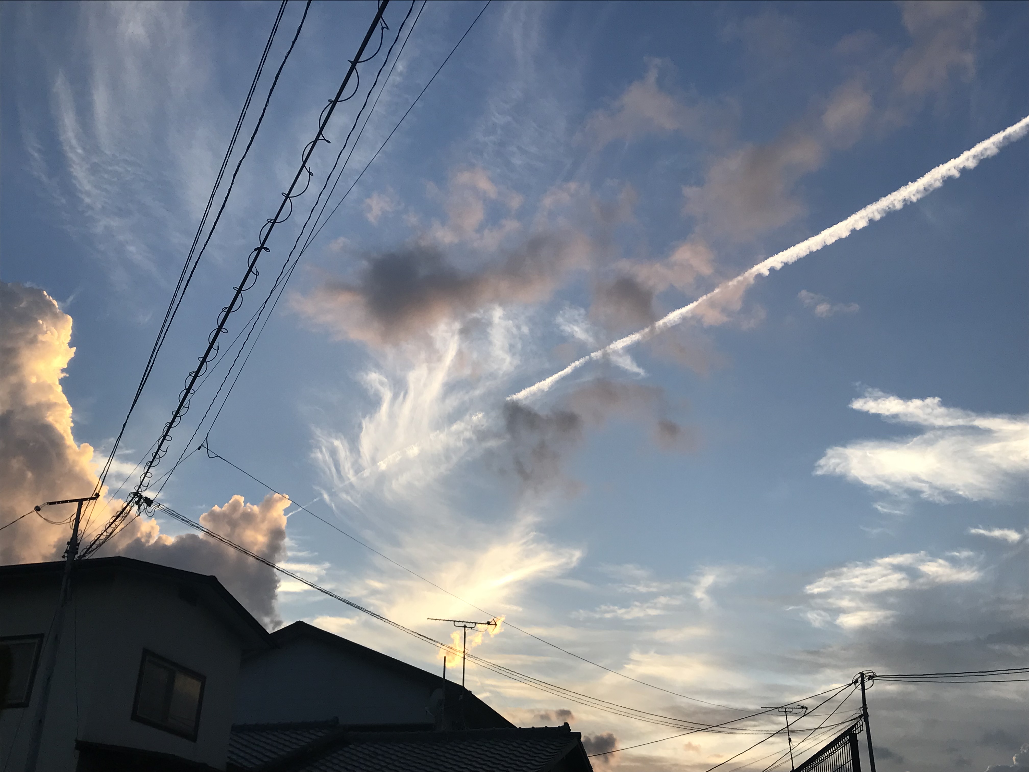 #3 デトロイトビカムヒューマンと私2