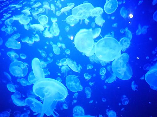 テストがてら自己紹介など