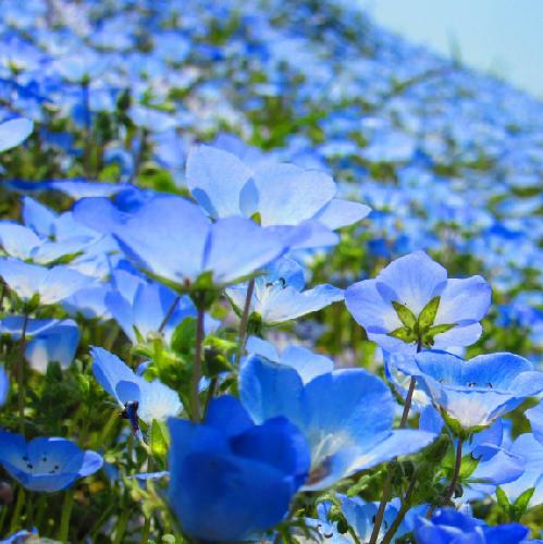 突発カラオケ二番勝負