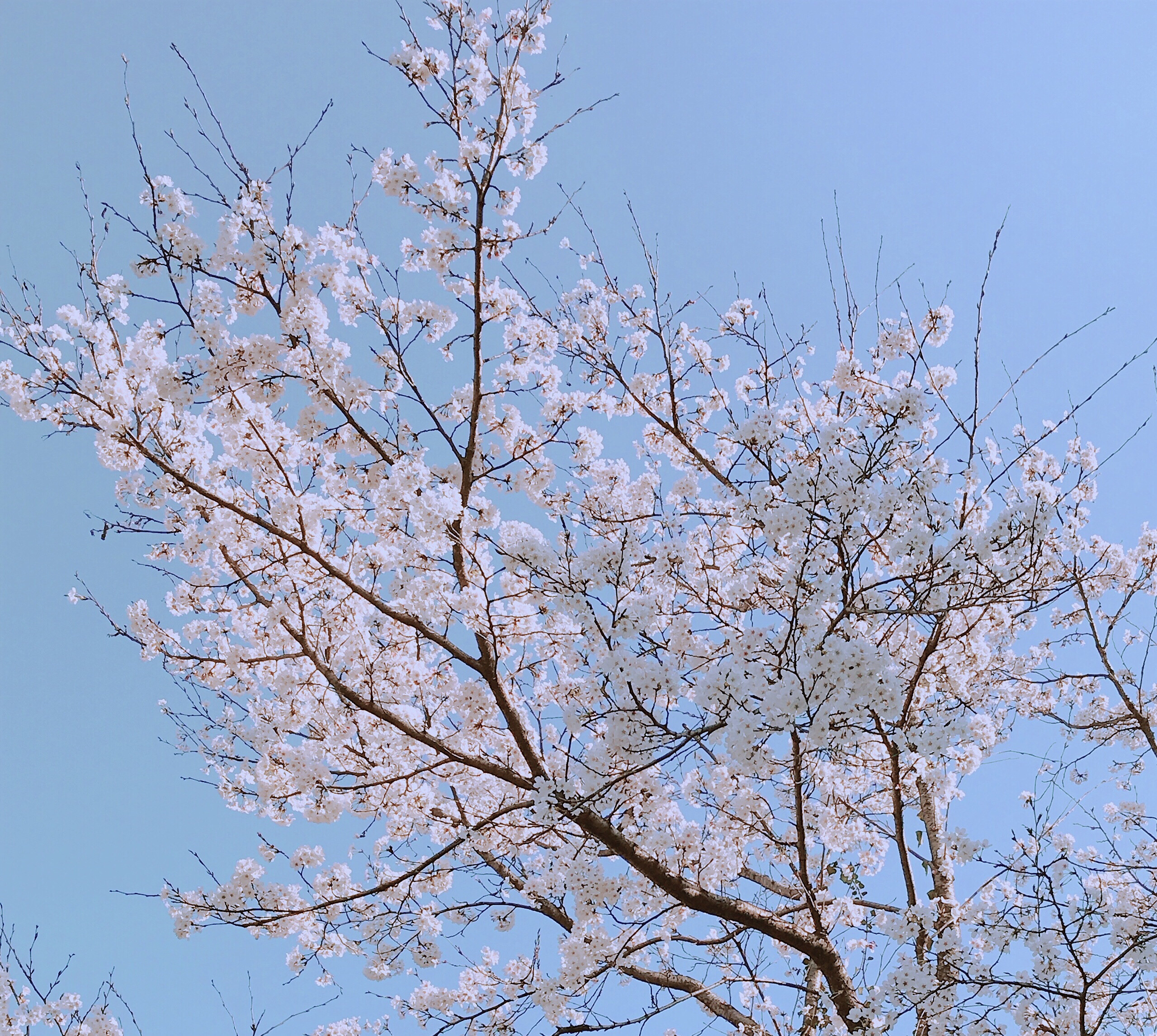 原稿してるのよ