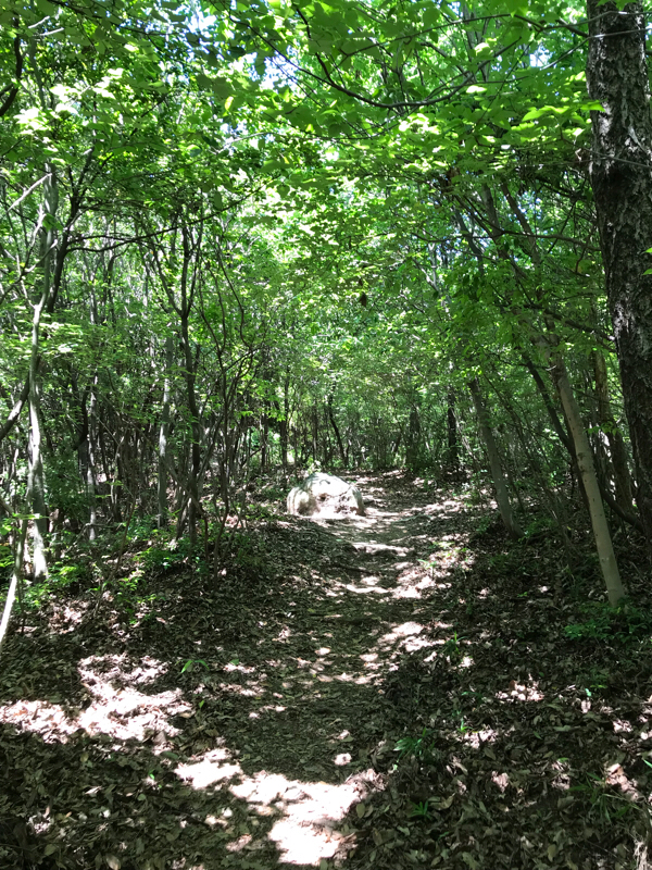 機動警察パトレイバー