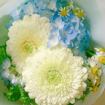 #6 しらいむと祐くんとちばしょーの服の話