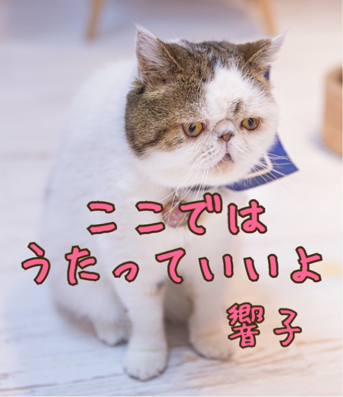 #39 ふたりは確かに愛しあっていたんだな【ファンタスティックビースト3を観て】