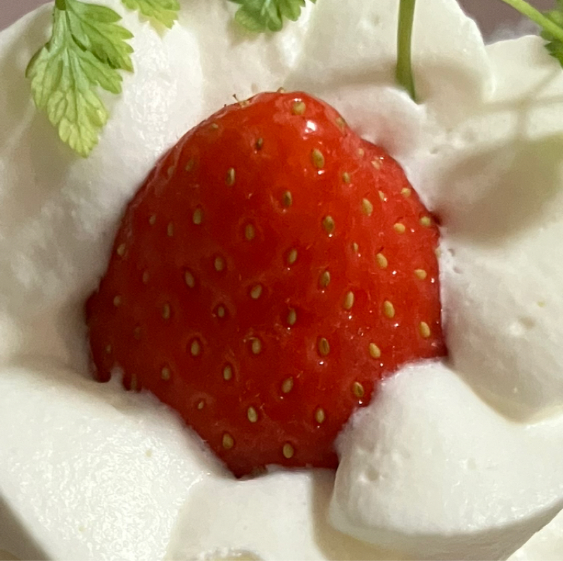 dayo                               🏠