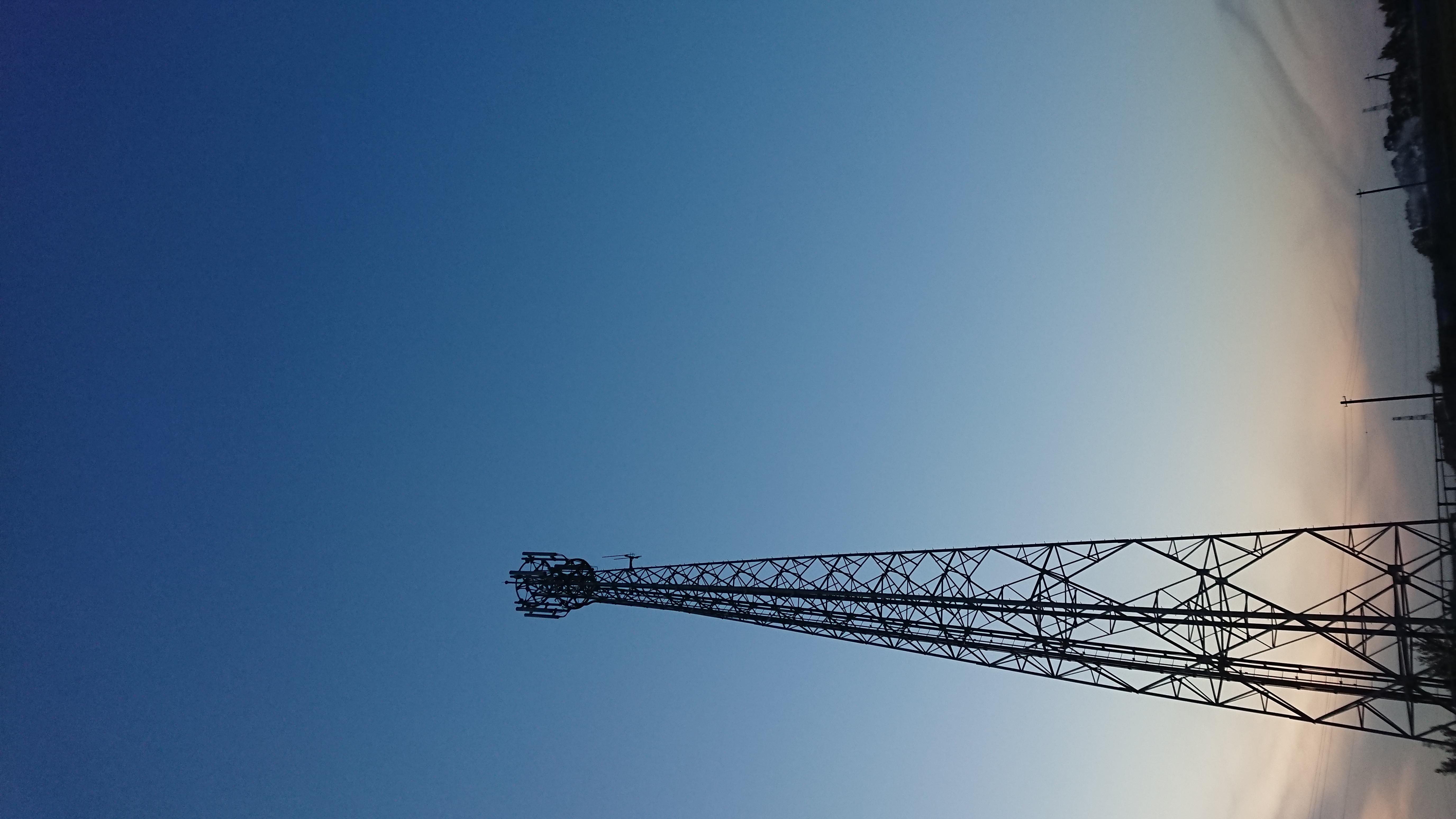 生きてるなぁ……