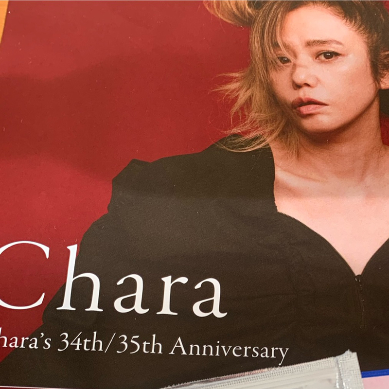 Charaのライブ行ってきた / 身体表現、本能としての踊り