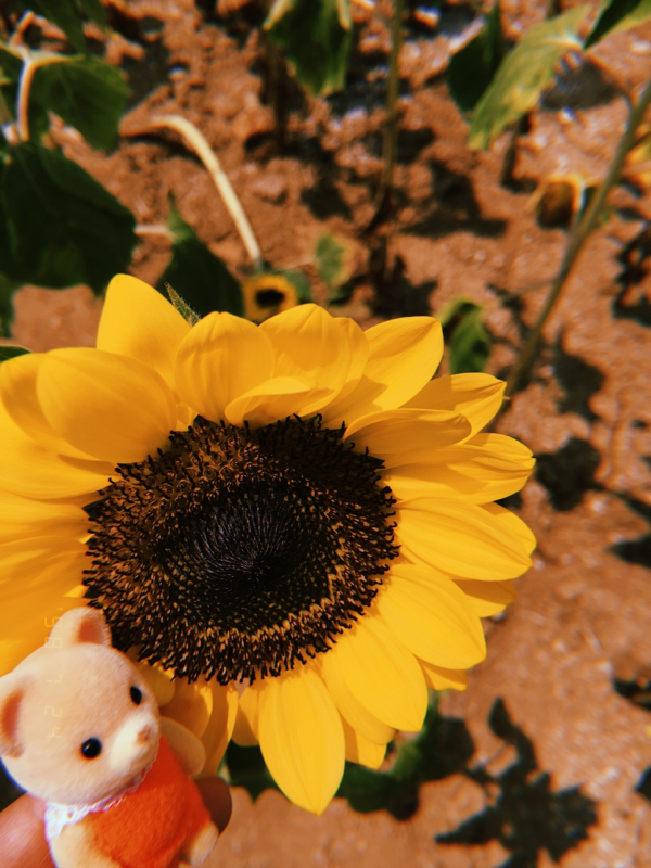 9/8 5分前にそれはきついぜ