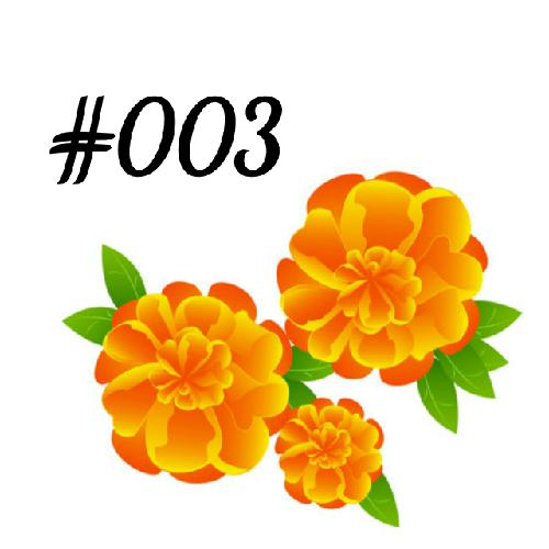 #003 マリーゴールドLVを観て