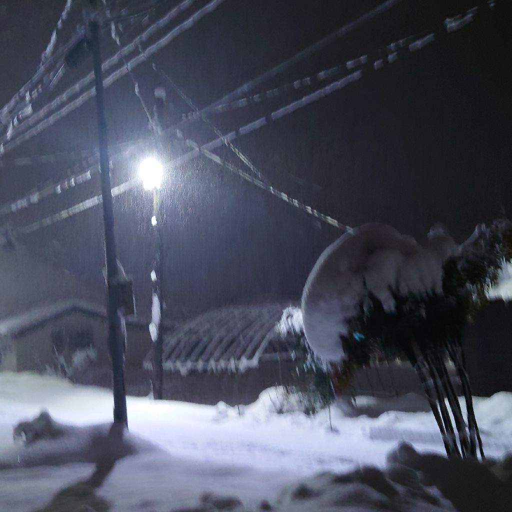 ここだけの話ラジオ193　大晦日何見ようかなな話