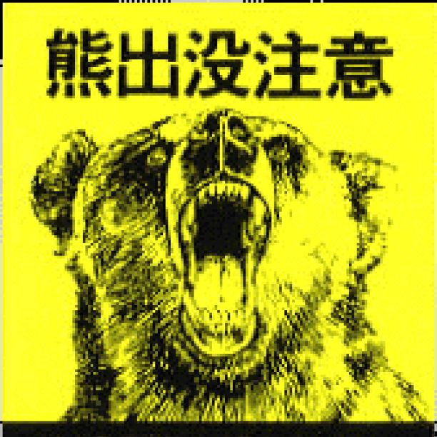 ここだけの話ラジオ538 ここだけのクマにまつわる最近の話