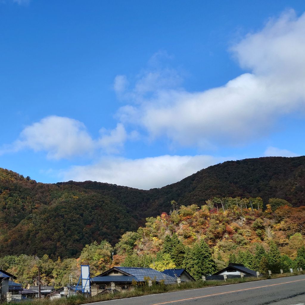 ここだけの話ラジオ539 ここだけの喫茶ピットインばりのダベリ話