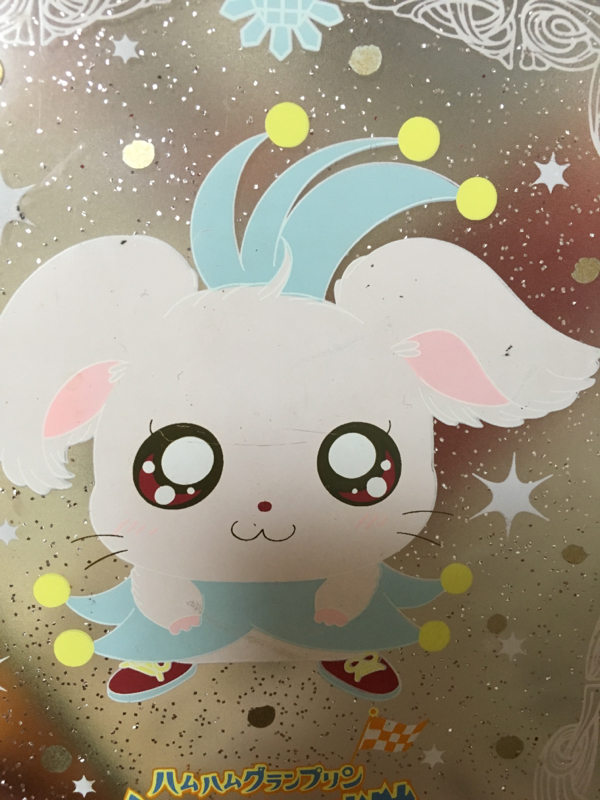 片付けられない女