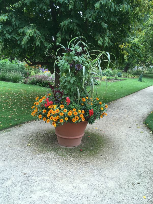 ファイアーエムブレム風花雪月