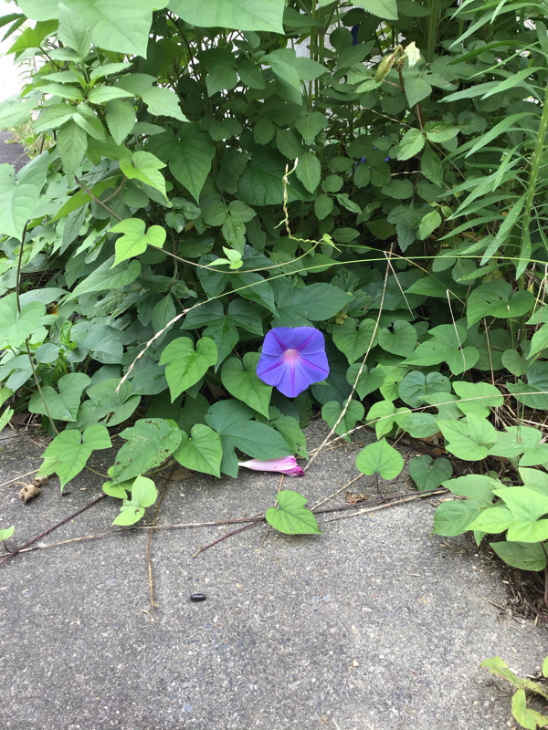 28.自分を諦めるwww