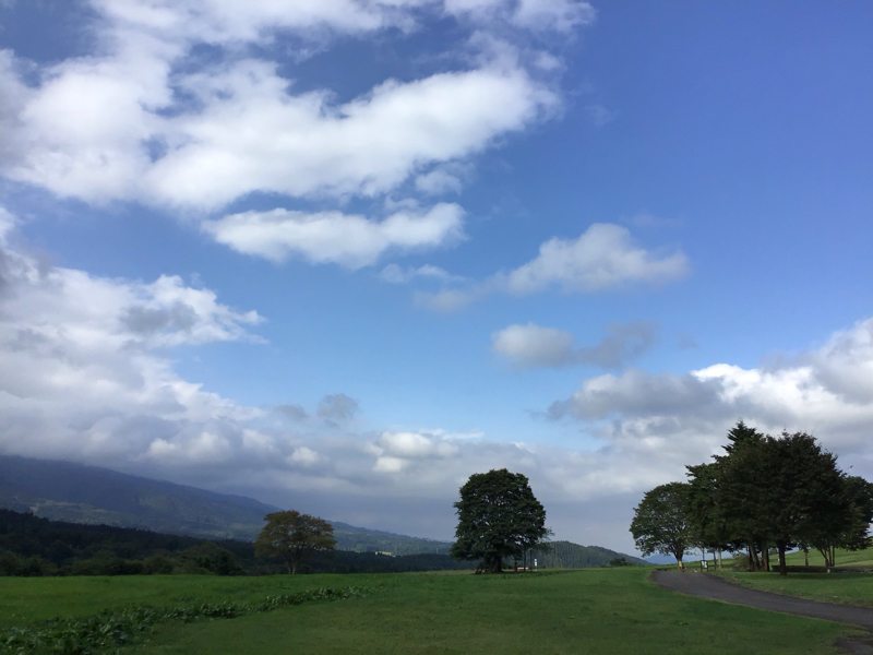 37.陰謀論とか天地創造とか（は？）