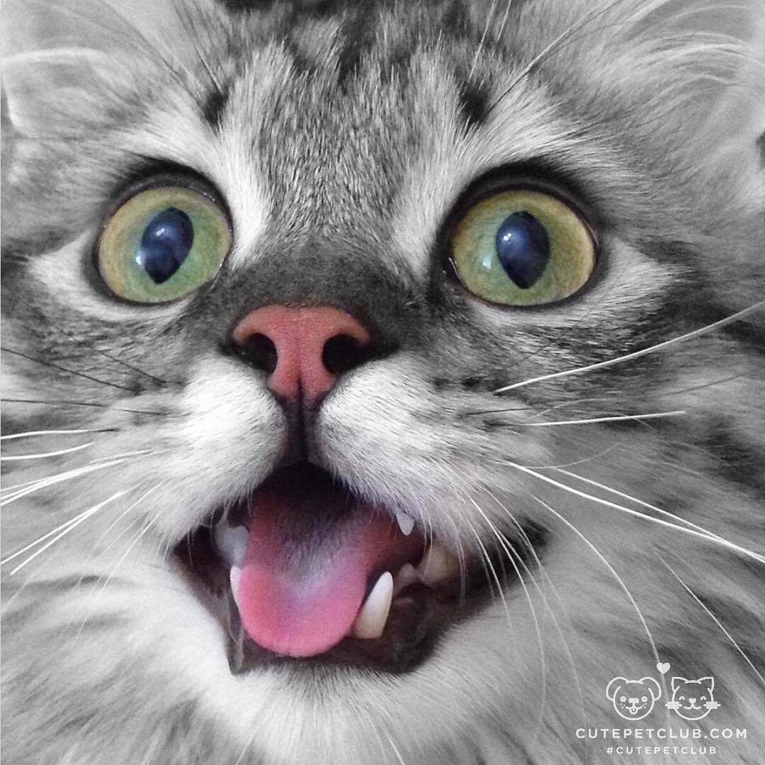 #03 推しというエンタメ