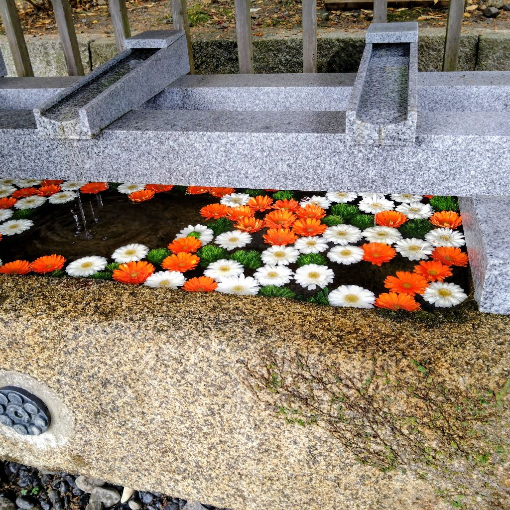 #183 ひろしの異文化交流（ＭＡ）