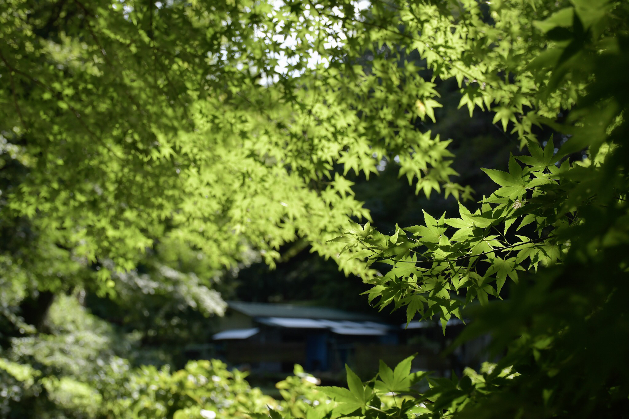 聞かなくてもいいラジオ