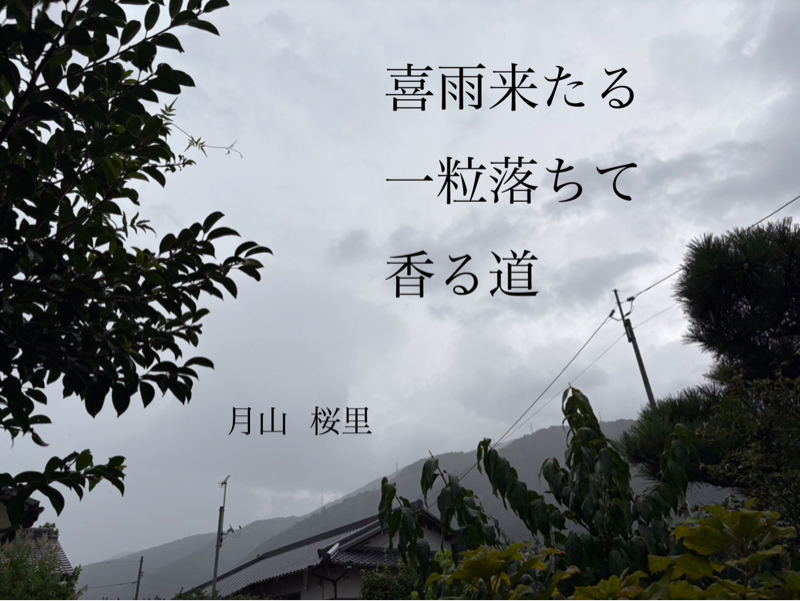 久しぶりの雨、、休み明けだから、、