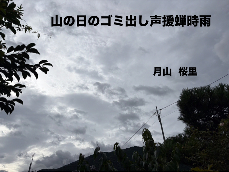 山の日の蝉時雨、、扇風機のホコリ