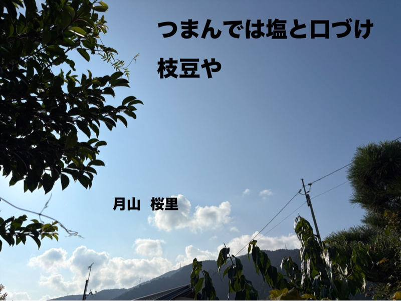 枝豆つまんてま、、お墓守