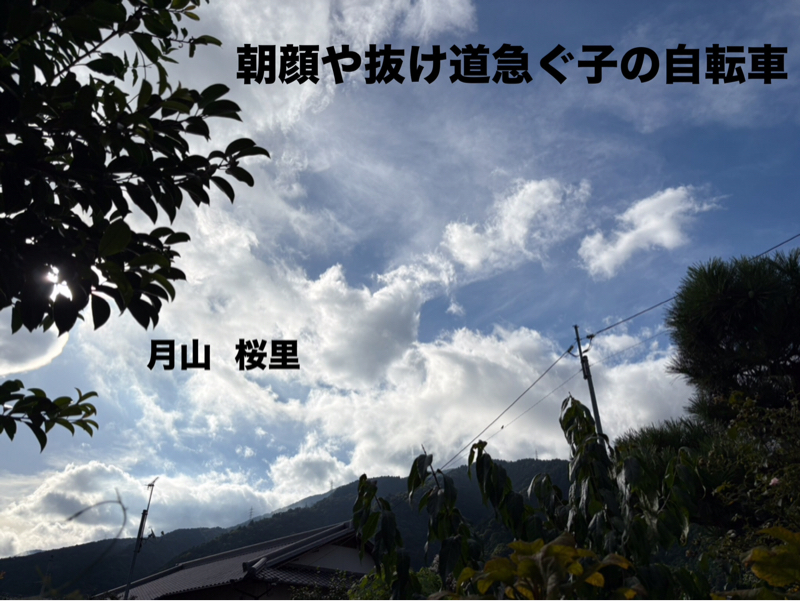 青い朝顔、、 働けること