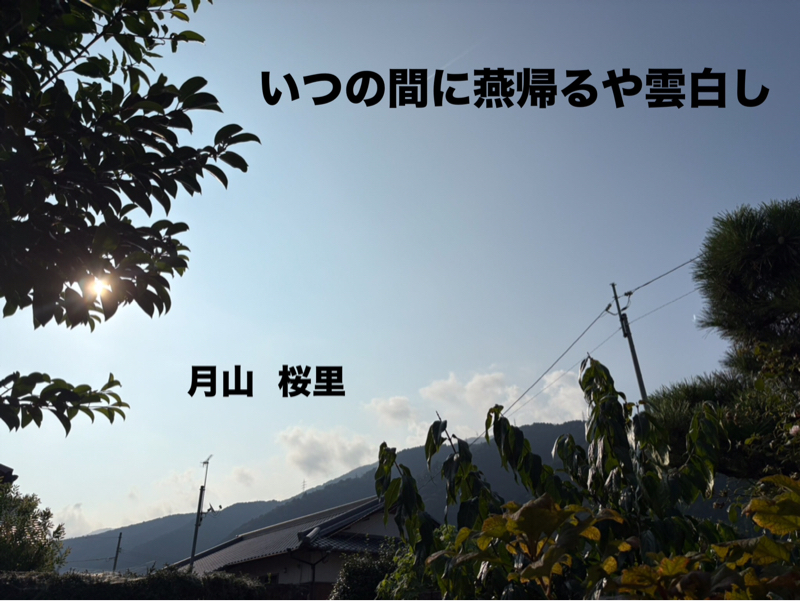 燕帰る、、娘に逢いたくて