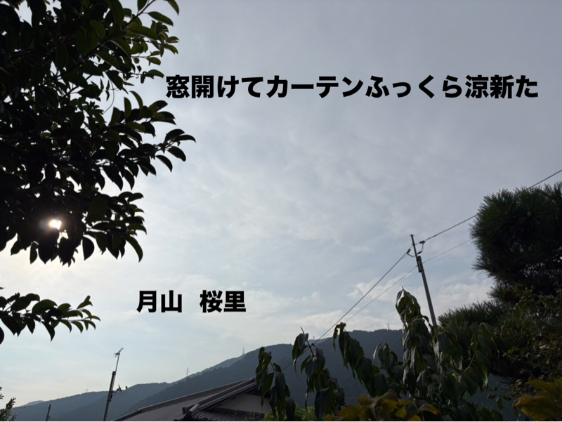 秋の風、、ネットショッピング
