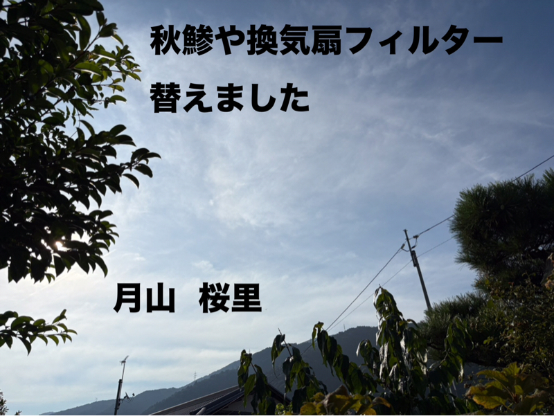 秋鯵食べたい、、、朝から熱中症