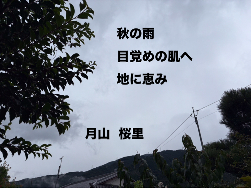 秋の雨、、、なつかしい職場の方と