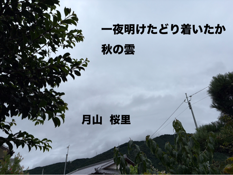 秋の雲、、名前を覚えられない、、