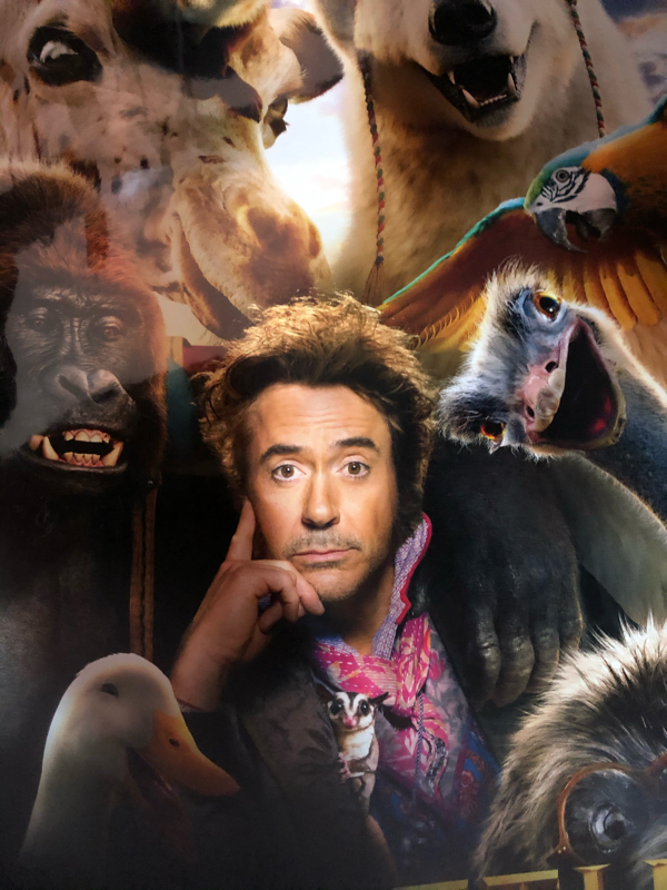 映画ドクタードリトルを紹介！児童文学なんで大目にみて！！