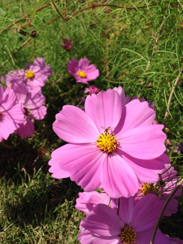 魔女の宅急便と私〜少女の上京物語だったんだ〜