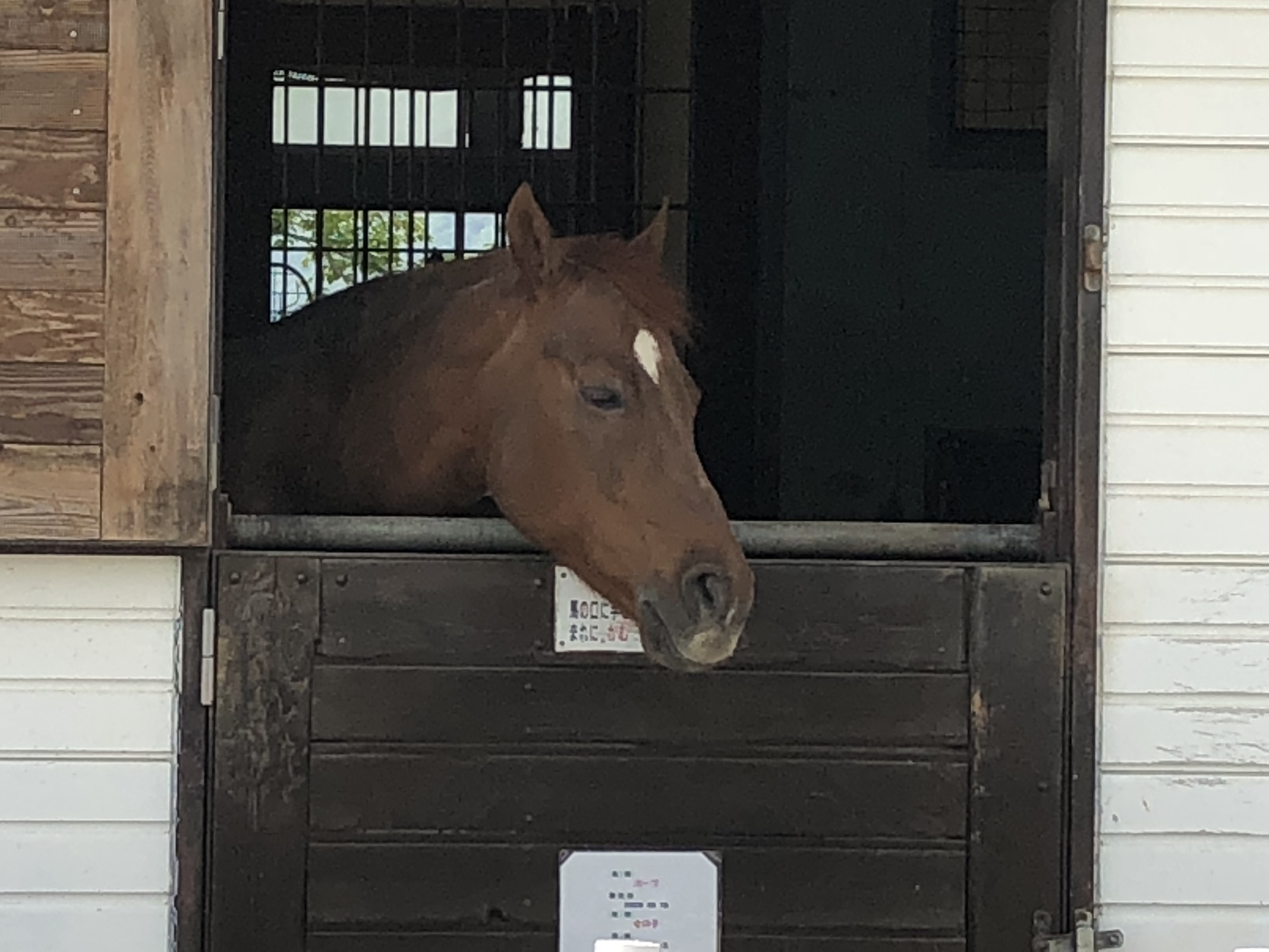 今日も時間切れ #1