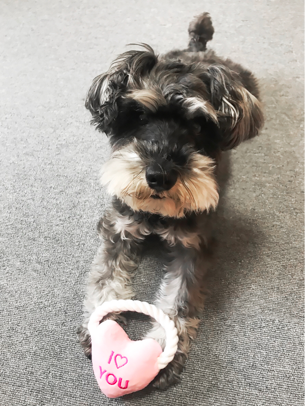 みんな生きてて偉い