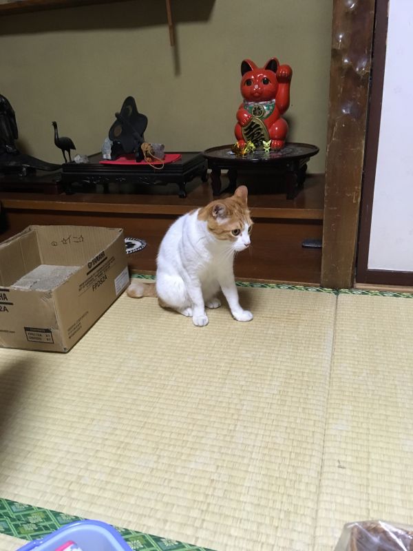 限界生活を送る人間の脳内を垂れ流すラジオ