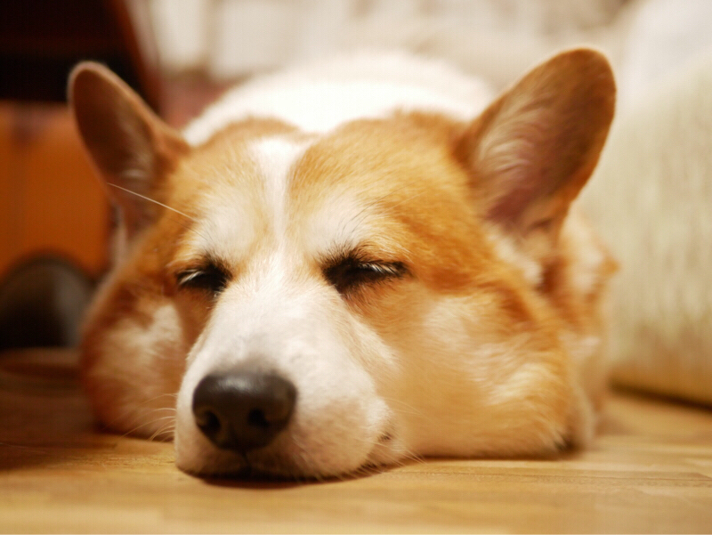 #24 映画『14歳の栞（2021）』その3