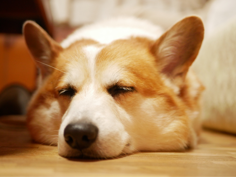 #25 映画『セブン（1996）』その1