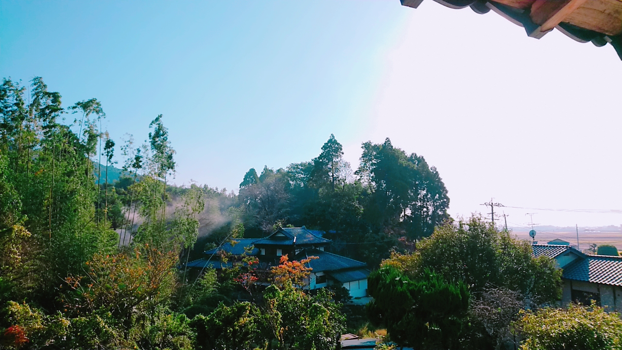 お久しぶりです！