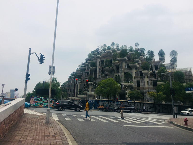 ヒートリ旅〜海外〜 final