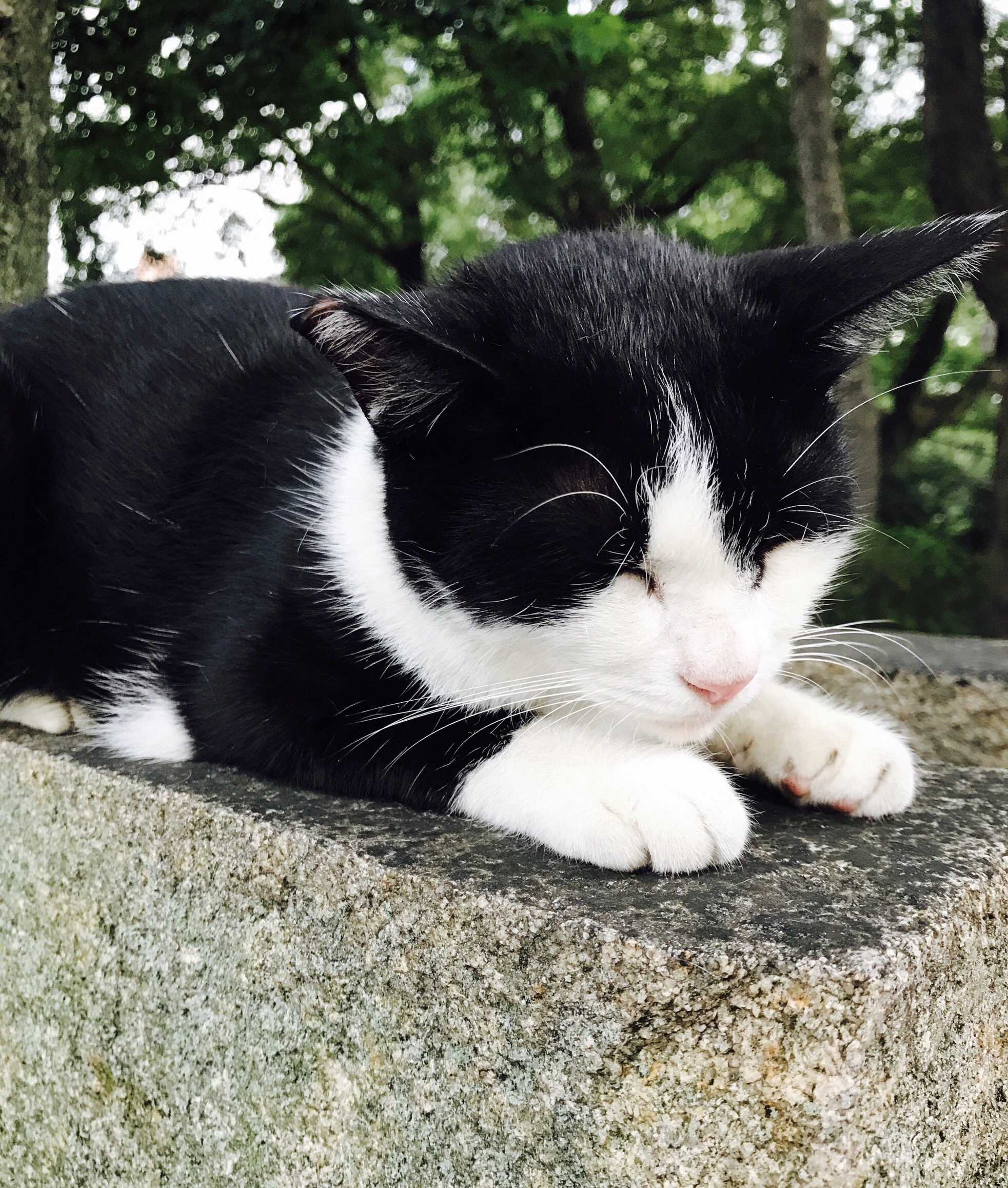 まったりラジオしてくスタイル