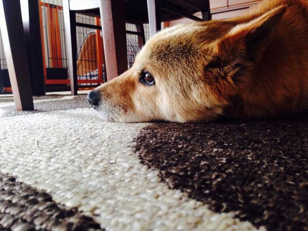 とりとめのない話を話すだけ