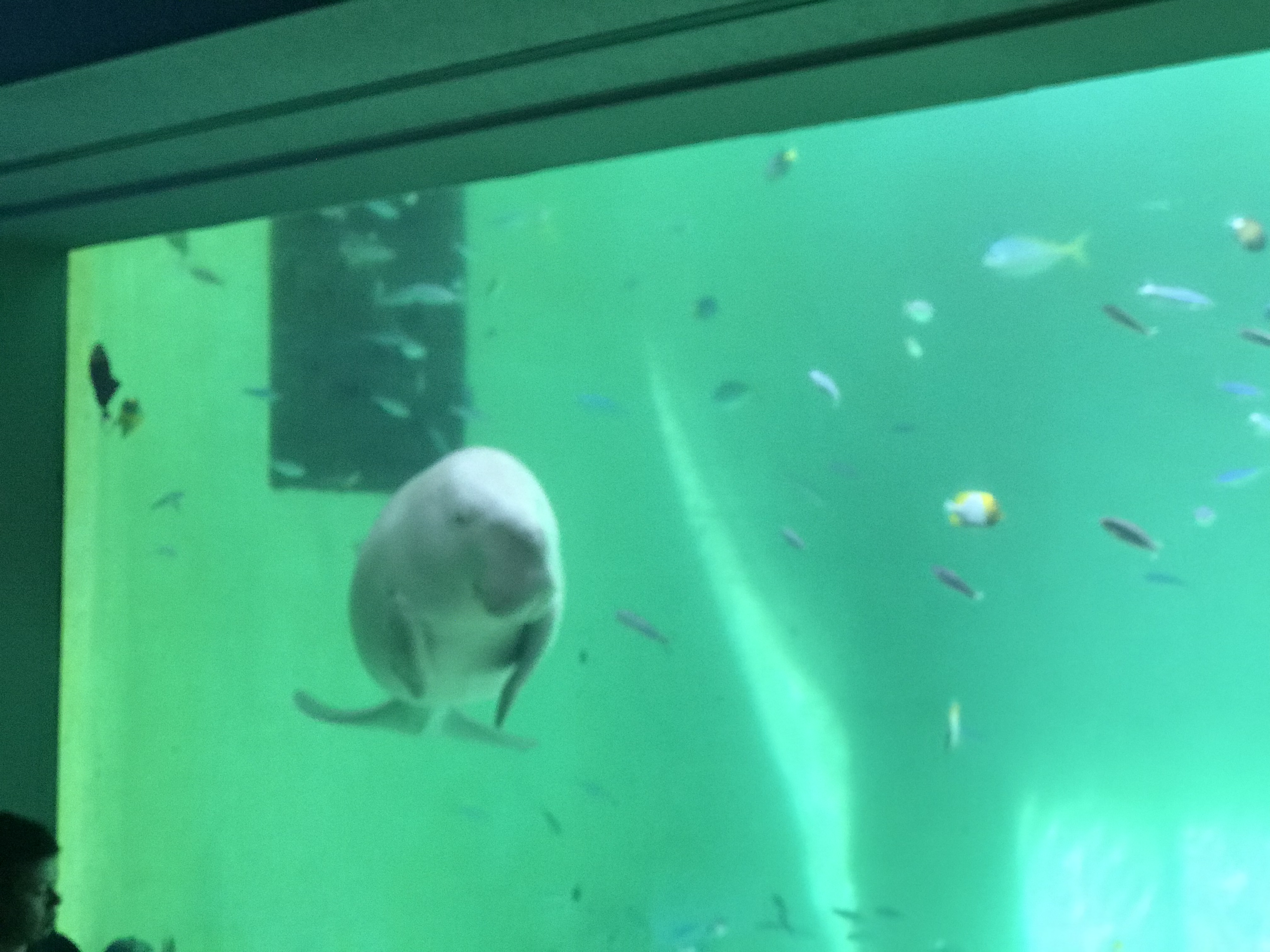 喋ることなくない！？