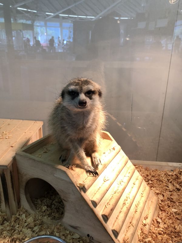 私とホモについて