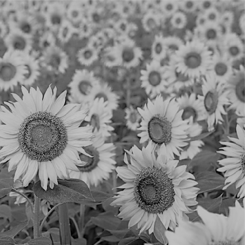 もそもそとオタクが喋ってる