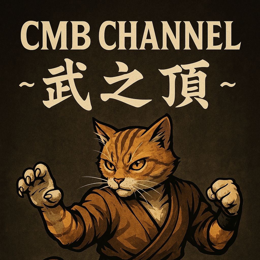 忍者影党に付いて