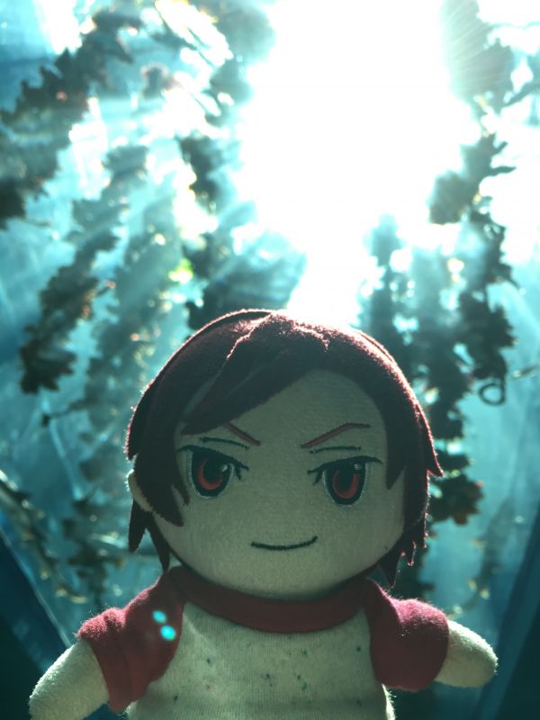 1年振り返り②（3月〜6月）